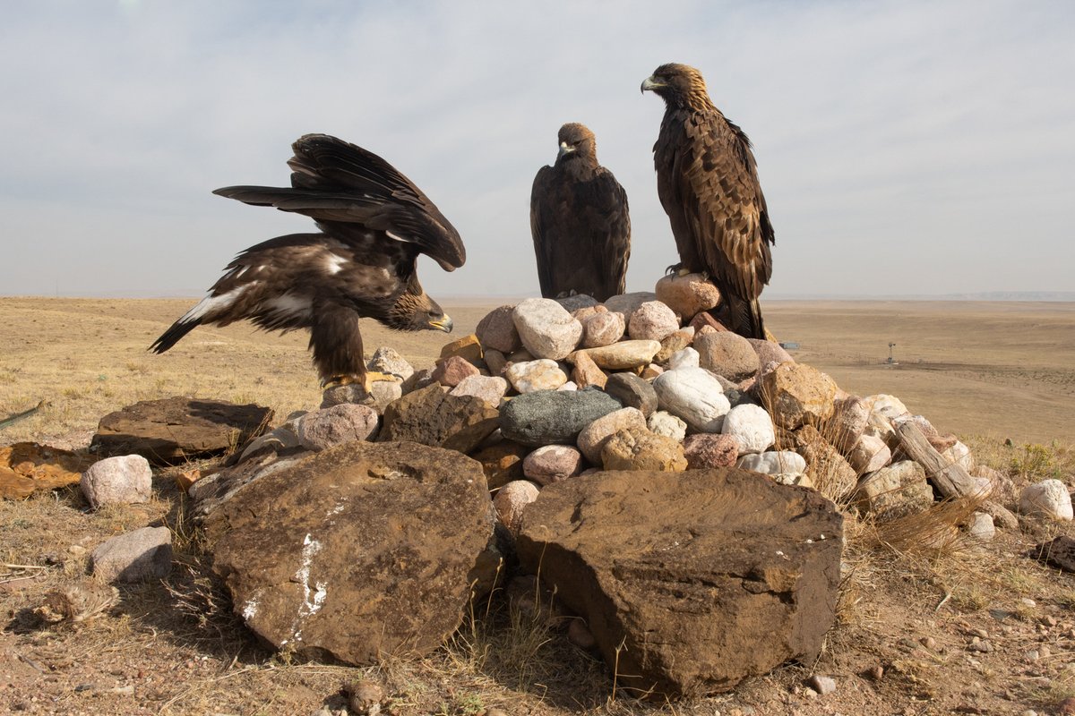 Girls Who Click tweet media