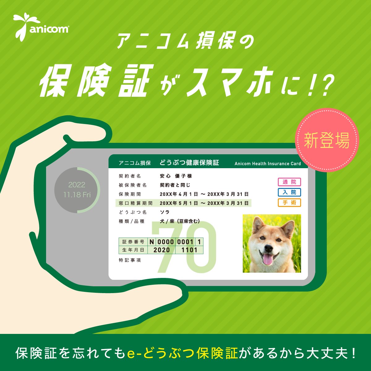 公式 アニコム ペット保険 だけじゃない Anicom Inc Twitter