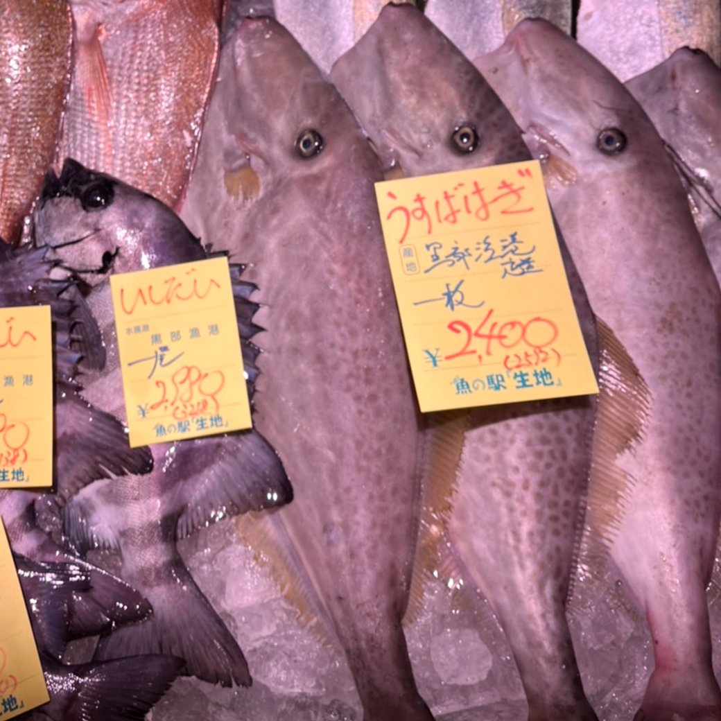 魚の駅 生地 送料無料で富山湾のとれたてを食卓にお届け Toretatekan Twitter