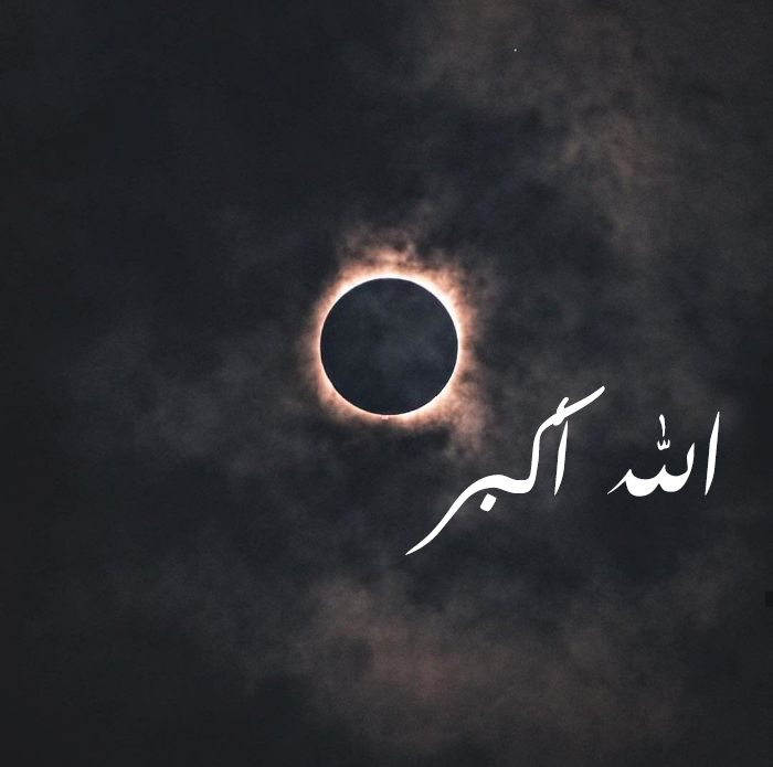 سؤال جواب tweet media
