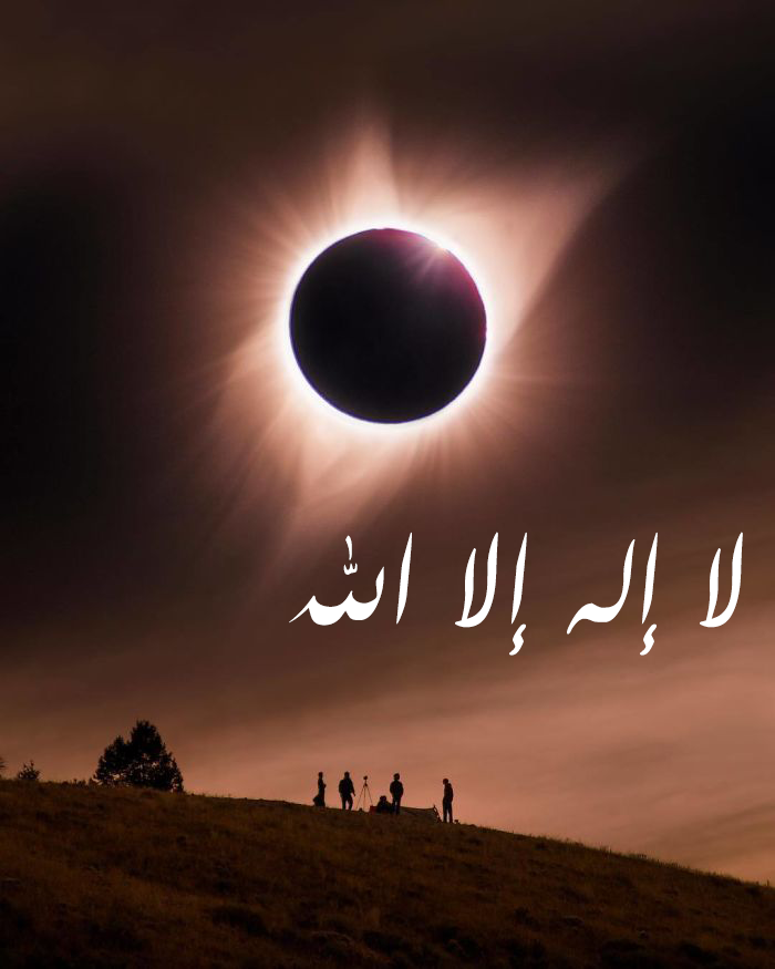 سؤال جواب tweet media