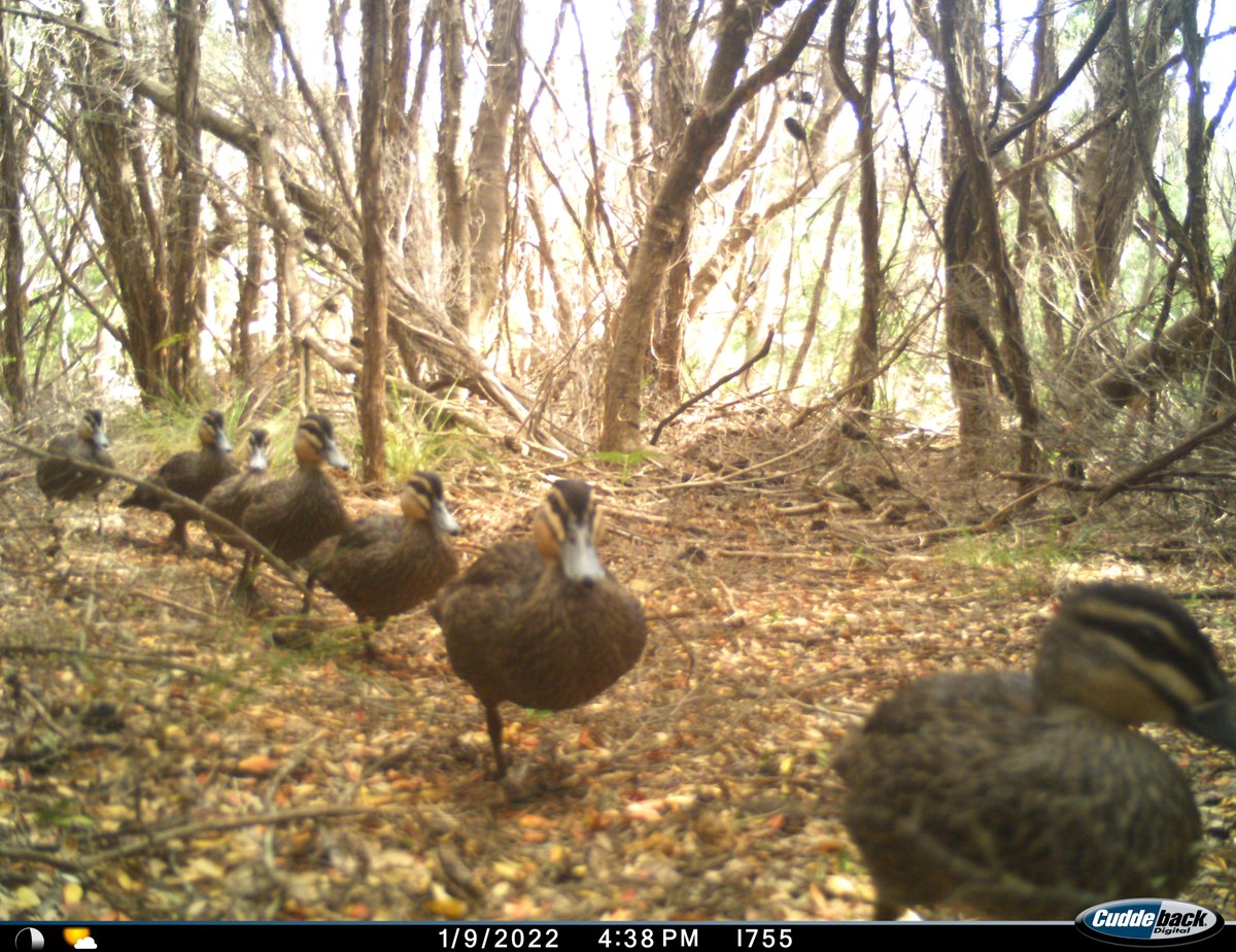 Alexandra Paton tweet media