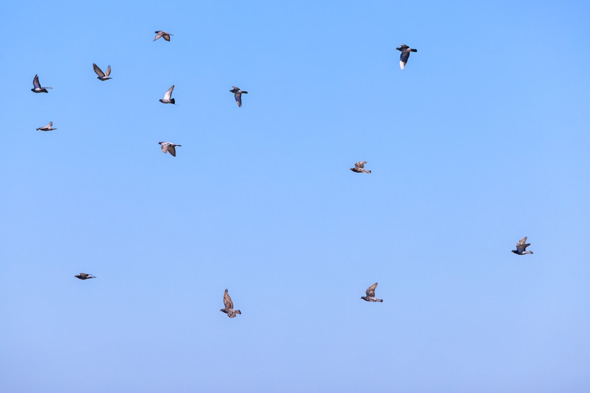 Seeing everyone post goodbyes and scattering to the far corners of the internet is overwhelmingly sad. Wherever you land, be kind to the people around you. 💙