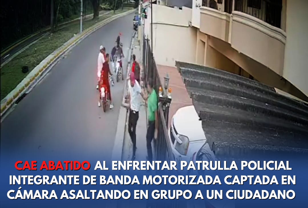 Policía Nacional República Dominicana tweet media