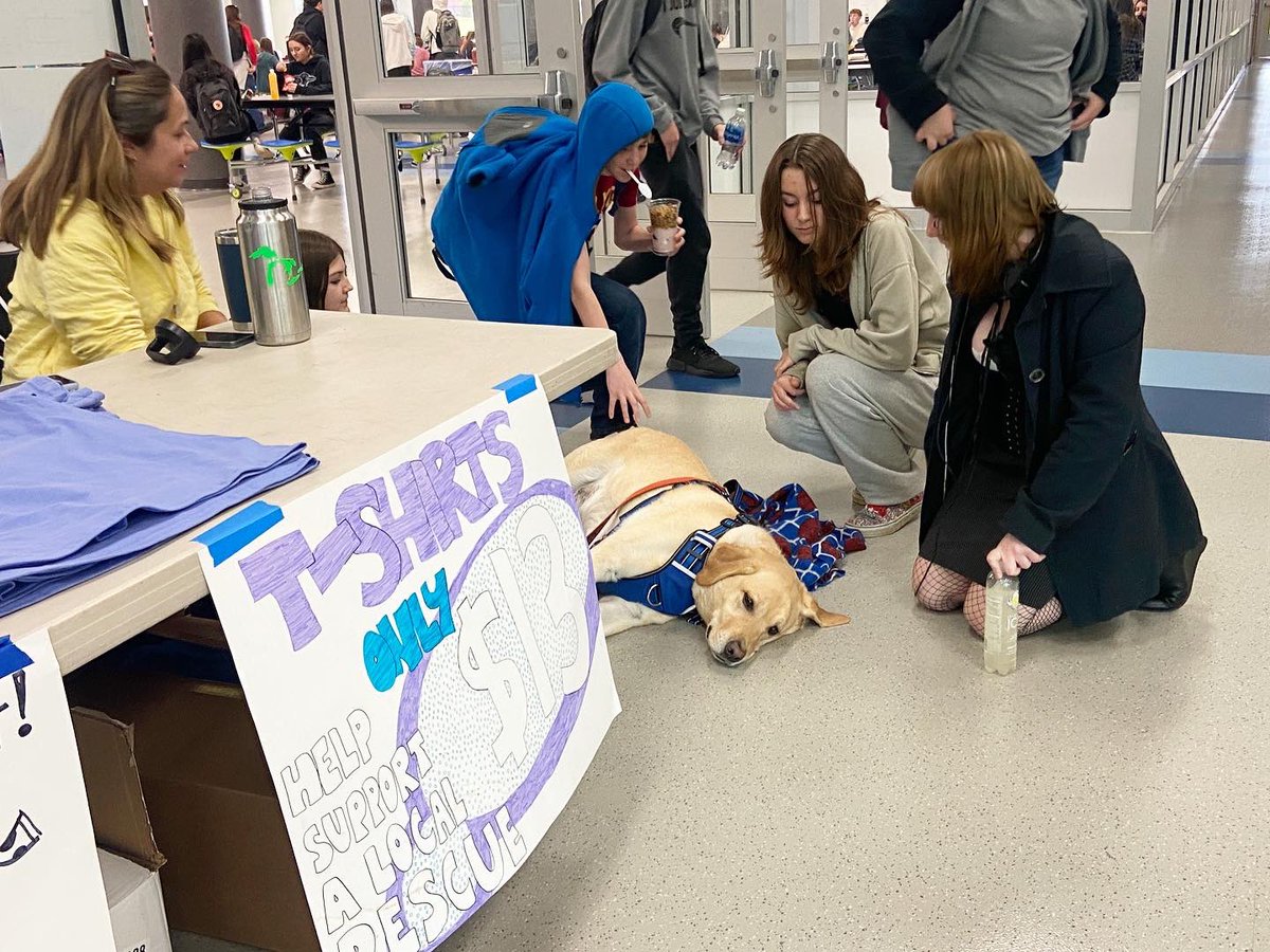 ROHS_Reimold's tweet image. Today @ ROHS. be Nice was spreading kindness and gratitude w/ emoji messages. Reynolds partnered w/ ss to raise $ for a local rescue. Steve was the most popular pup in the area. Sorry River ROMS, Steve stepped up the cuteness. 😋 1/2
