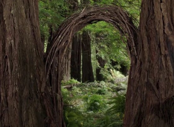 Chasten's tweet image. Whenever you’re ready, Twitter.