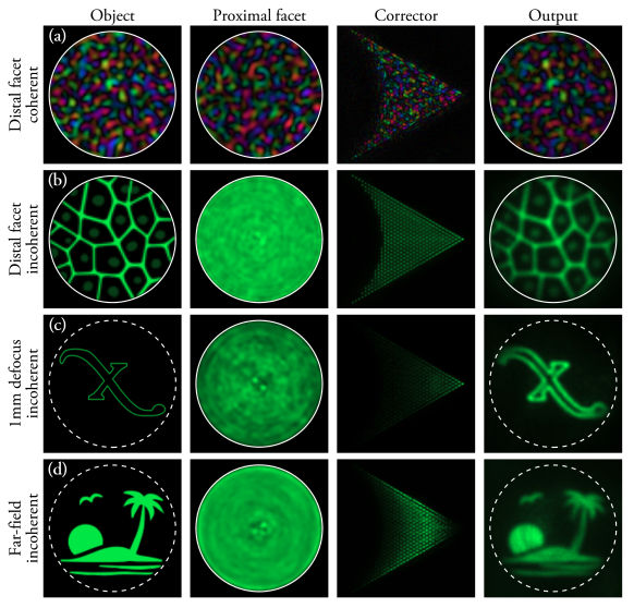 #IntelligentComputing New research article in special issue "Computational Imaging"
How to Build the “Optical Inverse” of a Multimode Fibre
Unė G. Būtaitė, Hlib Kupianskyi, Tomáš Čižmár <a href="/CizmarTomas/">Tomas Cizmar</a>, and David B. Phillips <a href="/photonPhillips/">Dave Phillips</a>