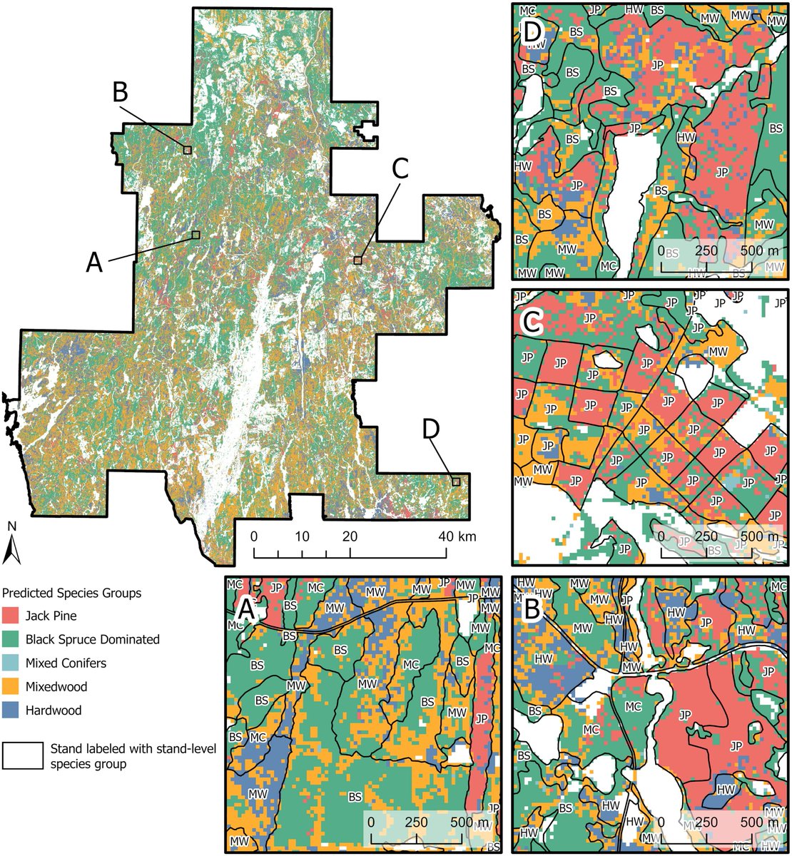 📢NEW PAPER! Mapping Dominant Boreal #TreeSpecies Groups by Combining Area-Based and Individual Tree Crown #LiDAR Metrics with Sentinel-2 Data

📖(#OpenAccess): doi.org/10.1080/070389…

<a href="/Joanne_C_White/">Dr. Joanne C. White</a> <a href="/FORM_ETHZ/">Forest Resources Management FORM</a> @naomibschwartz