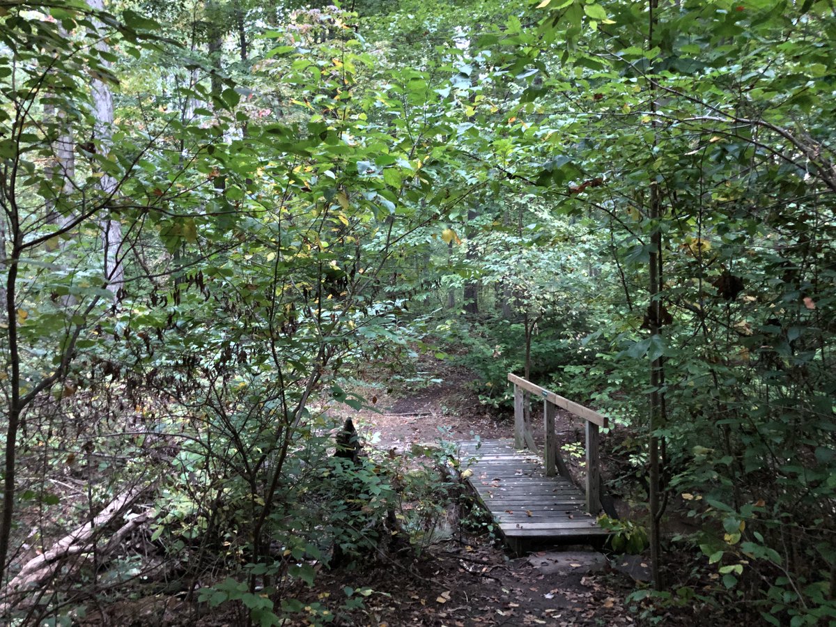 Edward Bradley (@edwardbradley) on Twitter photo 