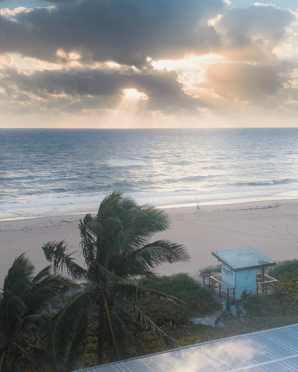 An electric sunrise.