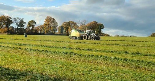 KroneFrance's tweet photo. 🍂 Le 30 Novembre, l’ ETA de l'Argoat (Côtes d’Armor) était toujours dans les fourrages 🌿 avec son matériel KRONE! 🔝😲
#krone #agriculture #combi #comprima #bigm https://t.co/FZ4J48OUij