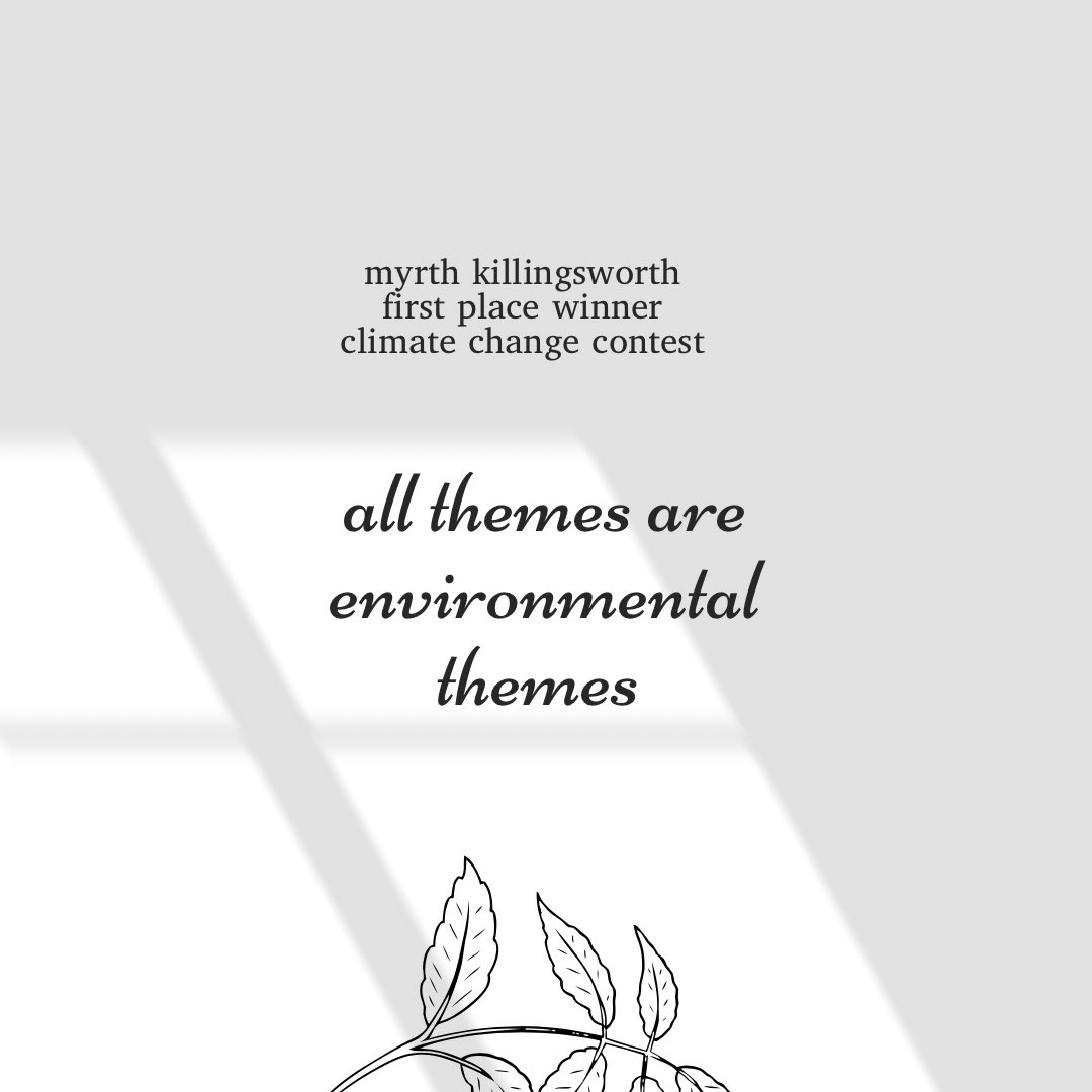 _thetinyjournal's tweet image. 