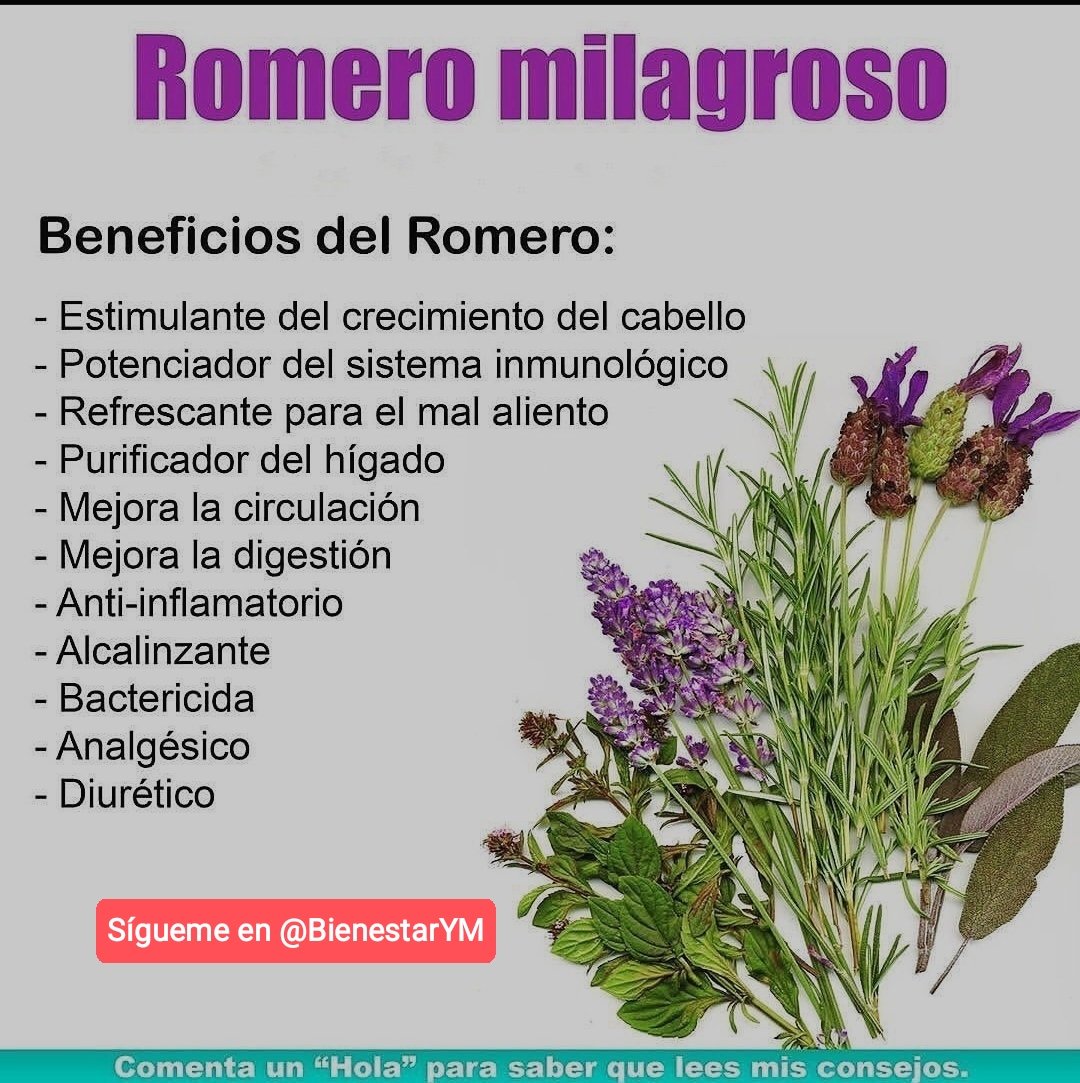 ✨💫🌿☀️Tip Saludable☀️🌿💫✨

El Romero y sus Beneficios.

*Regálame un Gracias si me lees*