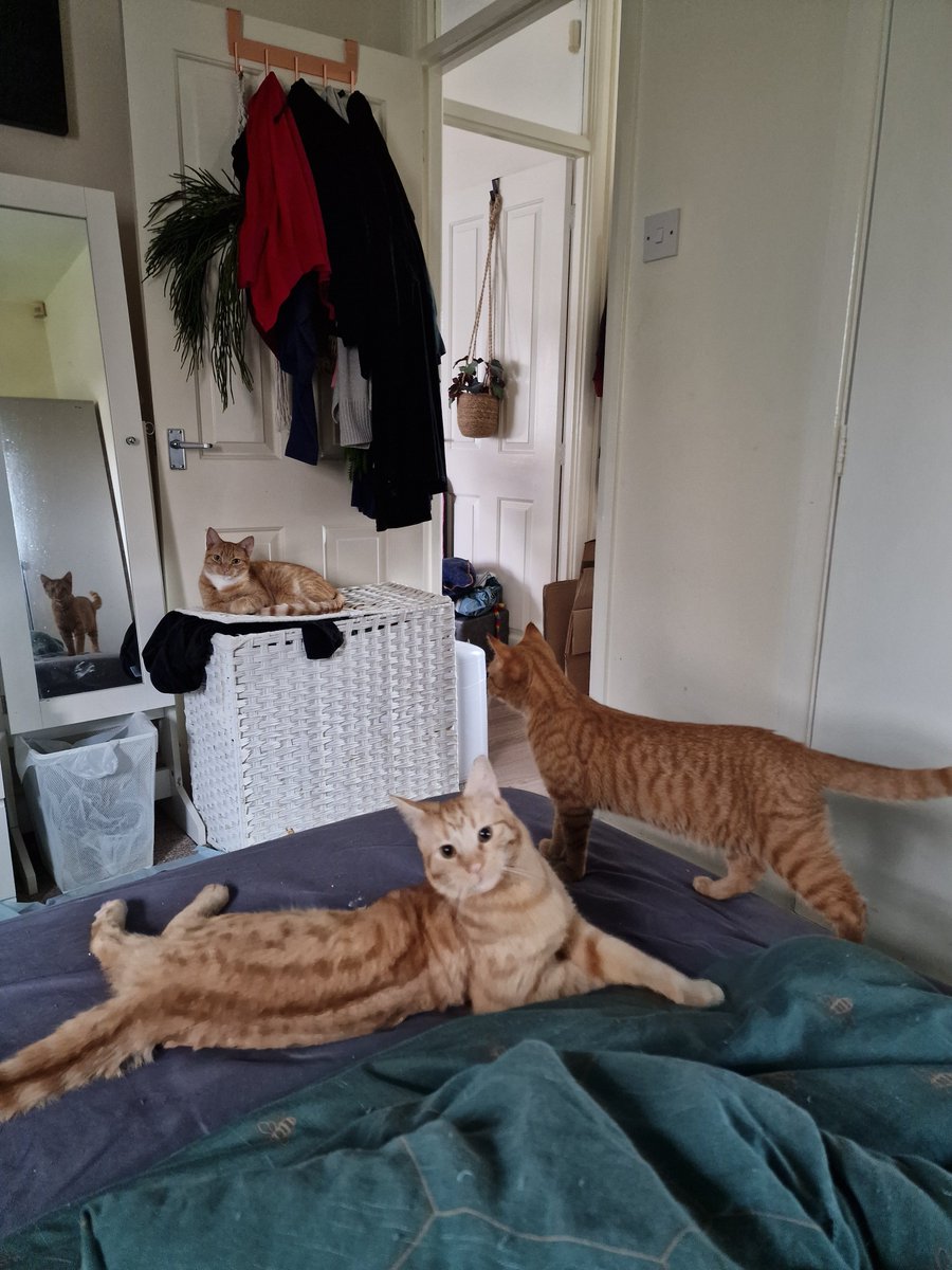 Holly Brockwell tweet media