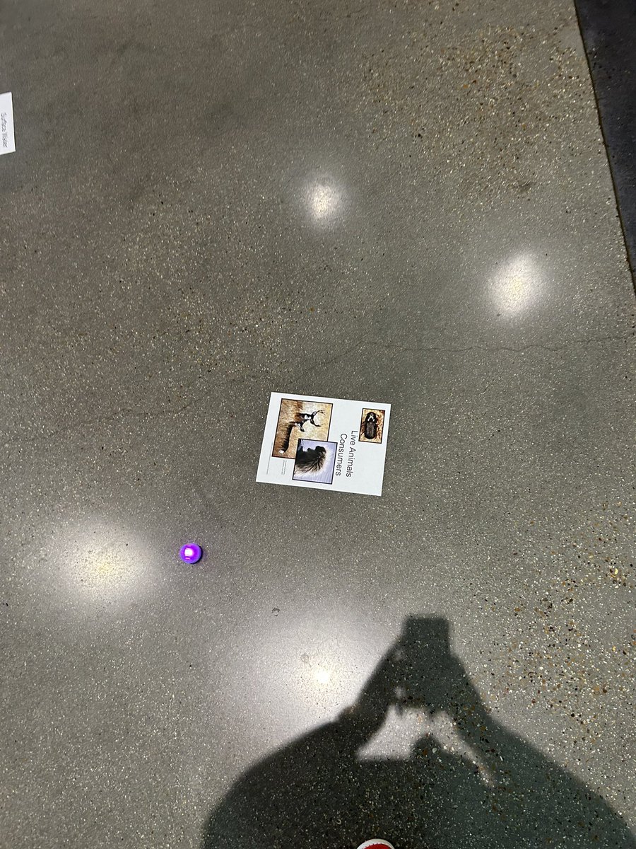 MHS9LIBRARY's tweet photo. @MarcusMrsD brought her class down to review the Nitrogen and Carbon cycles using Spheros today! #LISDLib #Sphero #STEMeducation #M9RoundingUpTheBest #LISDLearns #OneLISD https://t.co/IESZsy7mtl