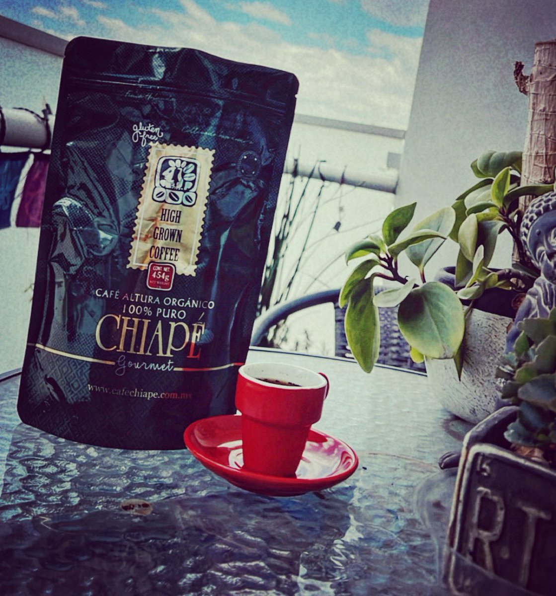 Que tu taza esté siempre llena de café, tú día lleno de cosas buenas y tú corazón lleno de amor y gratitud!! Bonito viernes!!🌱☕️