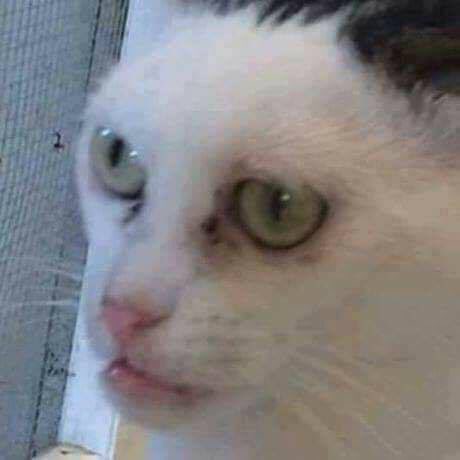 zarumanki's tweet photo. @onurerdll bunu gören kali uchis: https://t.co/M1qs2jIA5a