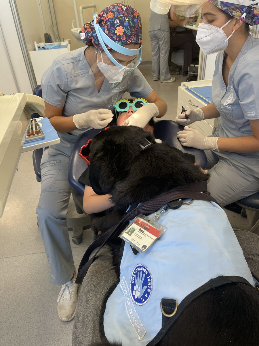 corpjuntoati's tweet photo. Apoyando a los niños #autismo con #perrodeterapia durante la atención en el #odontopediatra en @uandes https://t.co/aEthfaYGcy