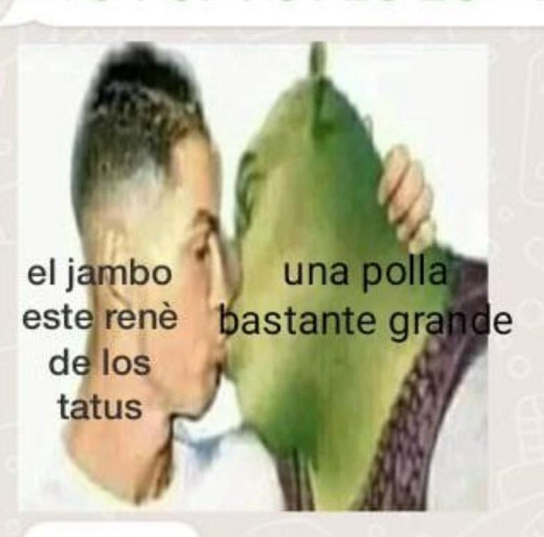 Renezzbro's tweet image. Literal yo