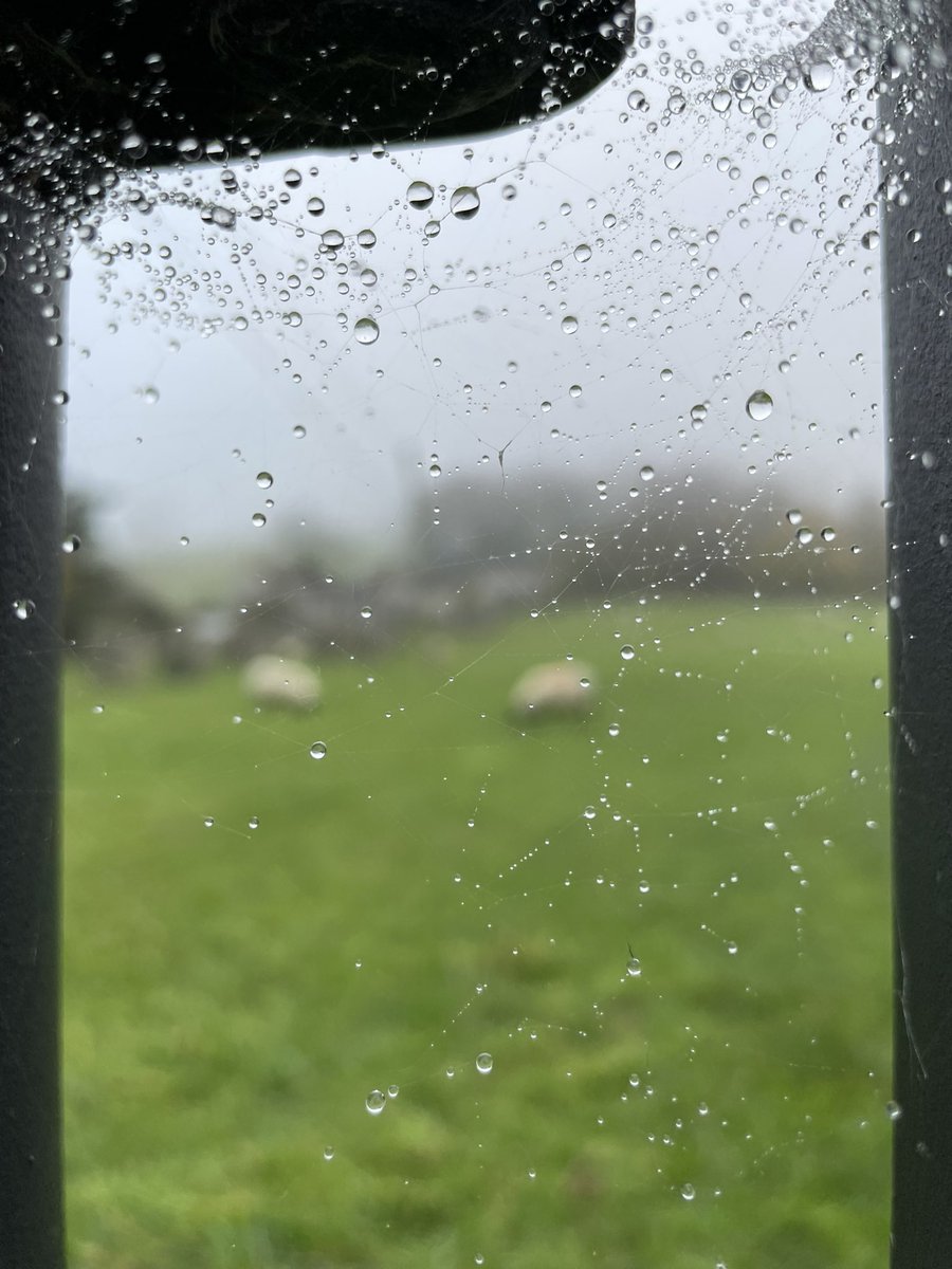 Mist and drops ❤️