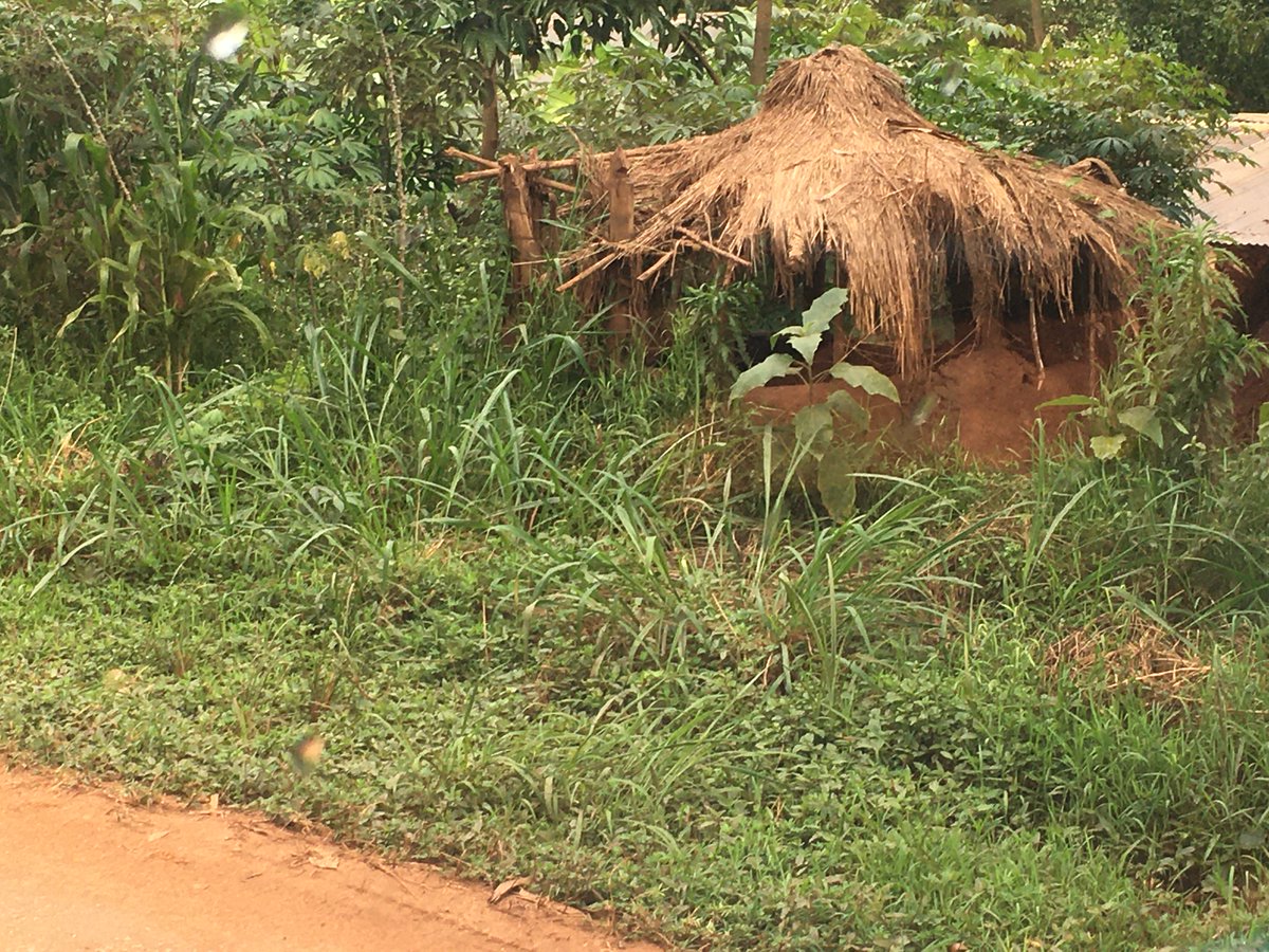 SabuleP's tweet image. anyone who can help with $50 we help my friend get a nice place to sleep please🙏🙏🙏