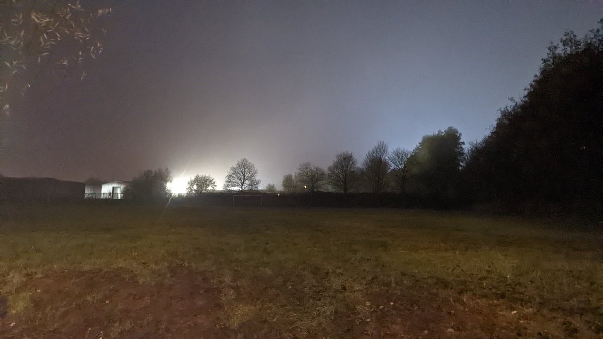 There's beauty in the dark #tree #NaturePhotography #naturelovers #fridaymorning