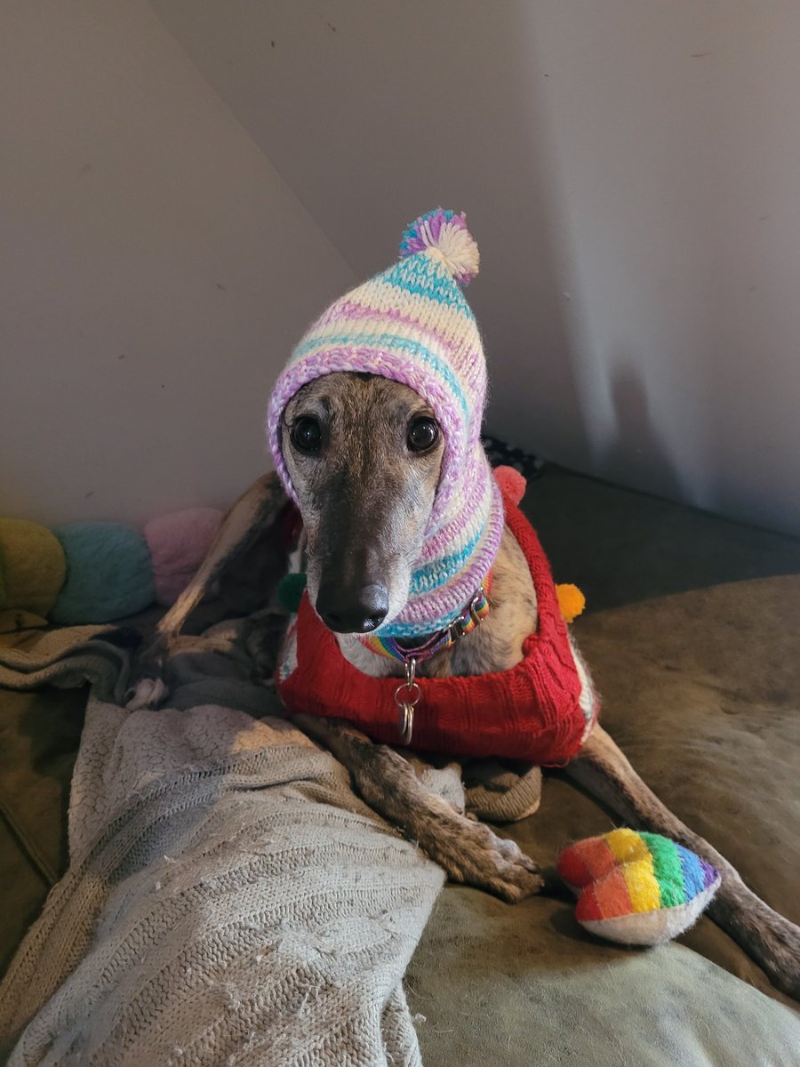 Daisy tweet media