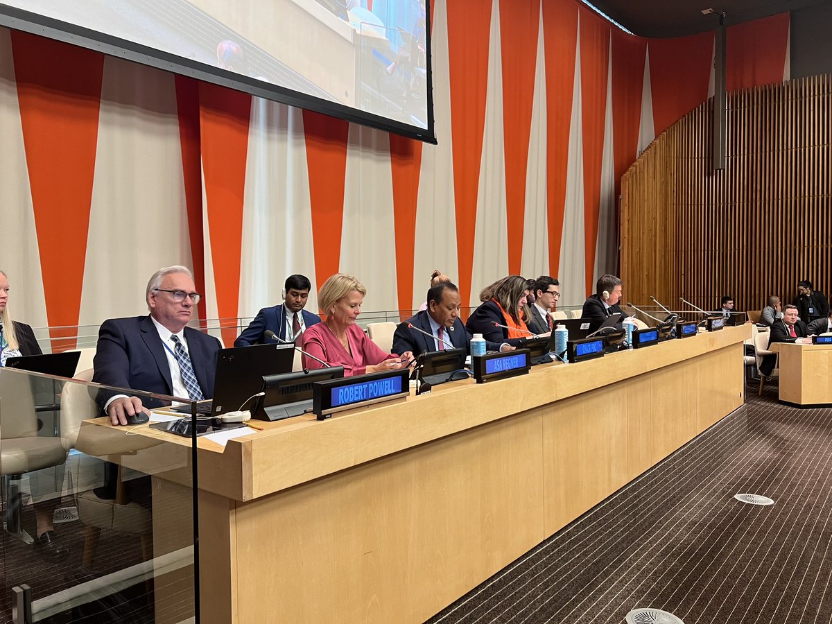 TJiteneva's tweet photo. We must invest in creating safe &amp; enabling environments for women peacebuilders @regner_asa stated at the @UNECOSOC-PBC meeting. Women human rights defenders are targeted w/attacks that silence their advocacy &amp; prevent from participating in public life @UNPeacebuilding @UN_Women https://t.co/EzdSnbC9qS