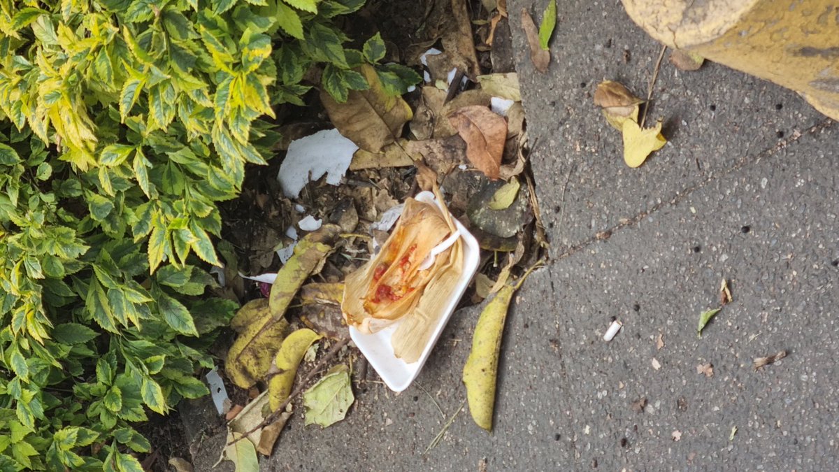 cometaof69's tweet photo. Así el cochinero que dejaron en la fuente 8 regiones los acarreados que vinieron  al evento de cambio de gobierno @salomonj hasta afuera de las casas se surraron #Oaxaca https://t.co/kkozT7PlA3