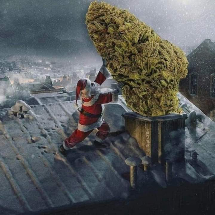 Noel entregando meu presente