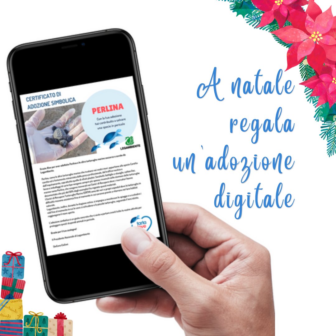 🎁 Regali last-minute? ⏰

Scegli di fare un dono 🎁  davvero inaspettato 🌟: l'adozione digitale di una #tartarugamarina 🐢🌊

💙 Dona ora su 👉 tartalove.it
e riceverai subito il certificato digitale personalizzato 📄🐢🌊