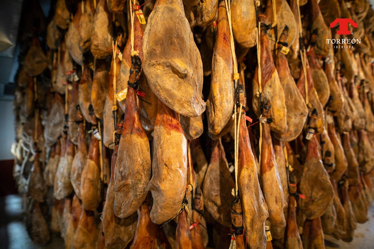 Ibéricos Torreón tweet media