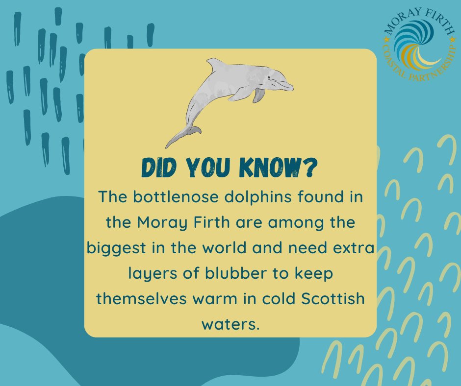 Moray Firth Coastal Partnership tweet media