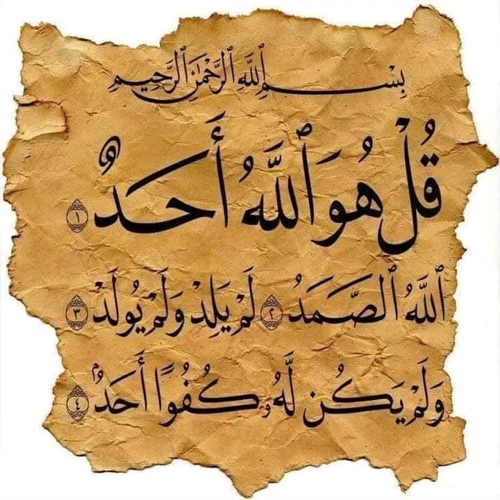 Ragab Elhoofy (@ragab_elhoofy) on Twitter photo 