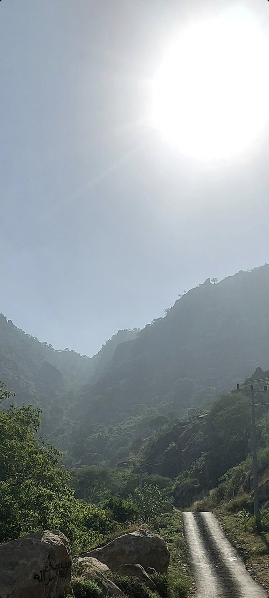 abusami75's tweet image. الله يعزكي ديره