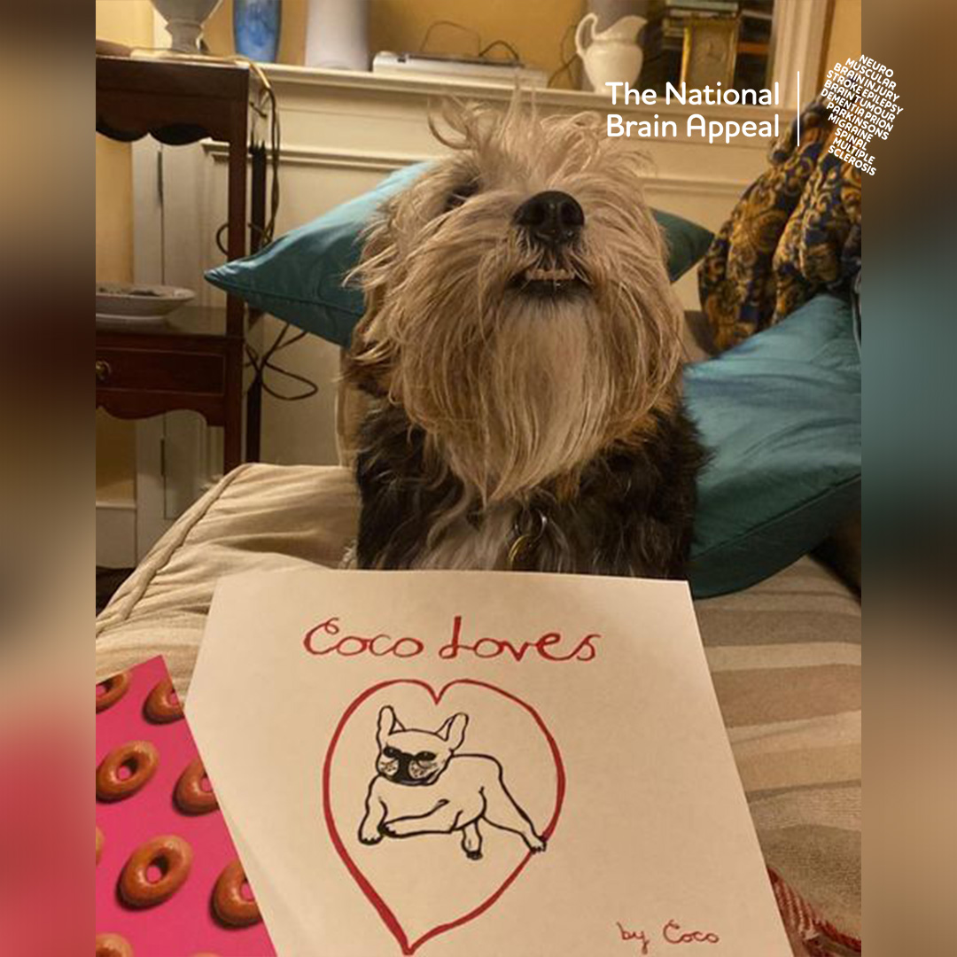 A very distinguished bunch of satisfied readers! 🐾

Like Ena, Betty and Mouse, share the gift of Coco Loves this Christmas - a heart-warming story to be enjoyed by all🎄 With all proceeds raised in aid of #TheNationalHospital Buy yours today nationalbrainappeal.org/shop