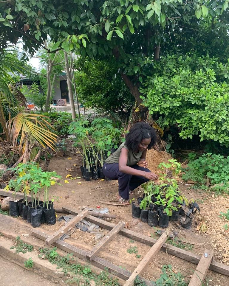 ANOghana's tweet photo. Happy Farmers Day! 👩🏿‍🌾 
Thank you to all the farmers in Ghana🇬🇭 making sure we’re fed every day. As ANO moves more towards the intersections of art, ecology &amp; indigenous knowledge systems after 20 years...

#indigenousknowledge #art #cosmologies https://t.co/eW19rKiP5L