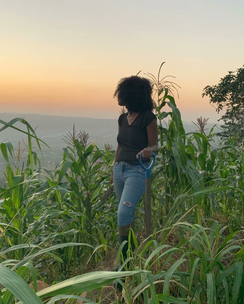 ANOghana's tweet photo. Happy Farmers Day! 👩🏿‍🌾 
Thank you to all the farmers in Ghana🇬🇭 making sure we’re fed every day. As ANO moves more towards the intersections of art, ecology &amp; indigenous knowledge systems after 20 years...

#indigenousknowledge #art #cosmologies https://t.co/eW19rKiP5L