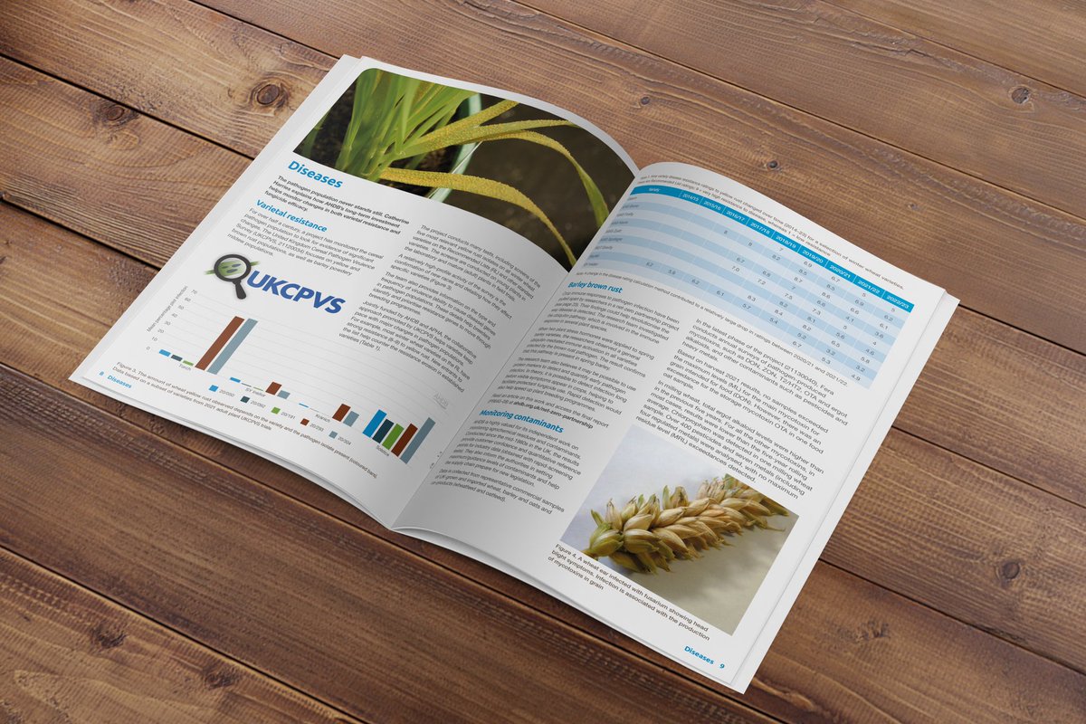 mdte – freelance studio support tweet media