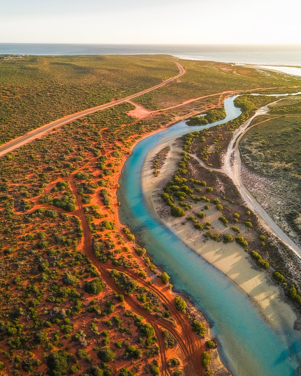 NATUREBYNATHAN's tweet photo. These images are from my first trip to Shark Bay as a photographer, back in 2019. It was also the first trip I ever did that was funded entirely from photography related income (print sales had been going pretty well!)

#sharkbay #australiascoralcoast #wathedreamstate #monkeymia https://t.co/Ugbmr7IMr1
