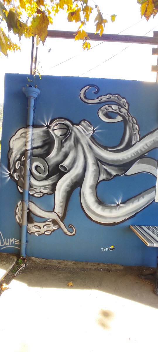 2Frais1976's tweet photo. 🐙.. #StreetArt #graffiti (Bastia) https://t.co/St8mvYtxNw