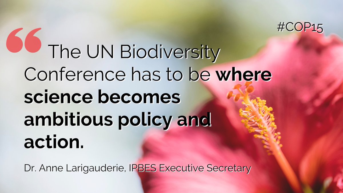 '#COP15 is the single most important chance for global decision-makers to use the evidence and expertise that has been so widely shared to tackle both the direct and indirect drivers of #biodiversity loss—for people & #ForNature.'🌺 —Dr. Anne Larigauderie, @ipbes Exec Sec