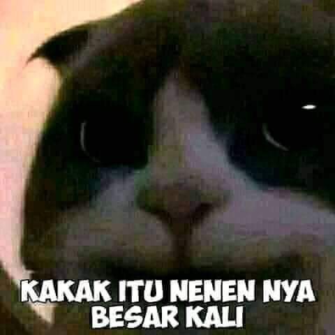 _enemys's tweet photo. @kegblgnunfaedh https://t.co/cT33gI7PD7