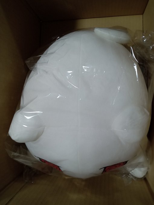 ソーデスきました! 