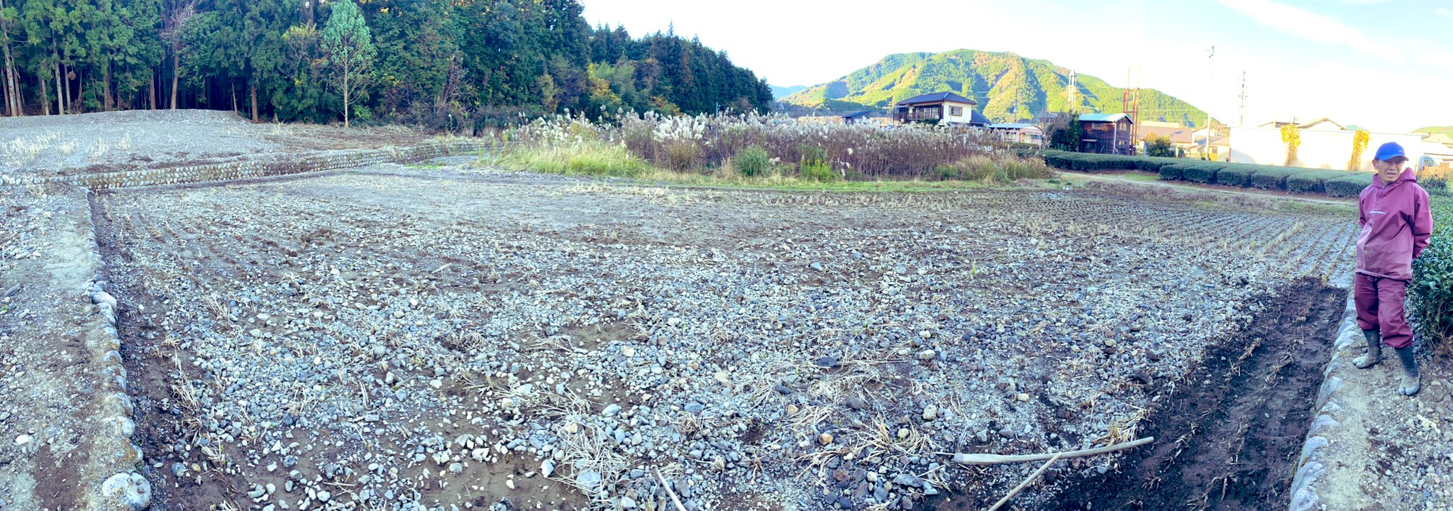 トーキョータナカ on Twitter