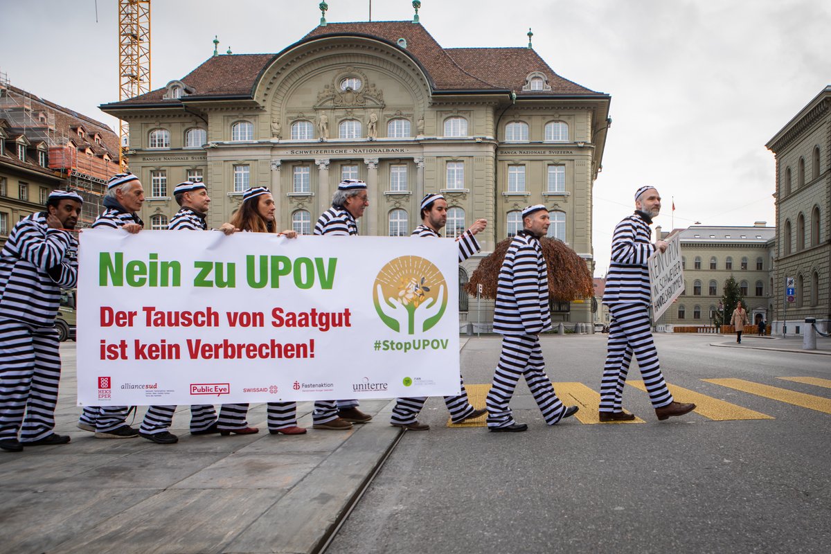 SWISSAID's tweet photo. #Saatgut zu tauschen, aufzubewahren und zu vermehren ist kein Verbrechen! Die Koalition «Recht auf Saatgut» führte in Bern eine Aktion für die Rechte der Bäuerinnen und Bauern auf der ganzen Welt durch: https://t.co/wveld8TE6N #rechtaufsaatgut #notoupov https://t.co/xdejWbVv0S