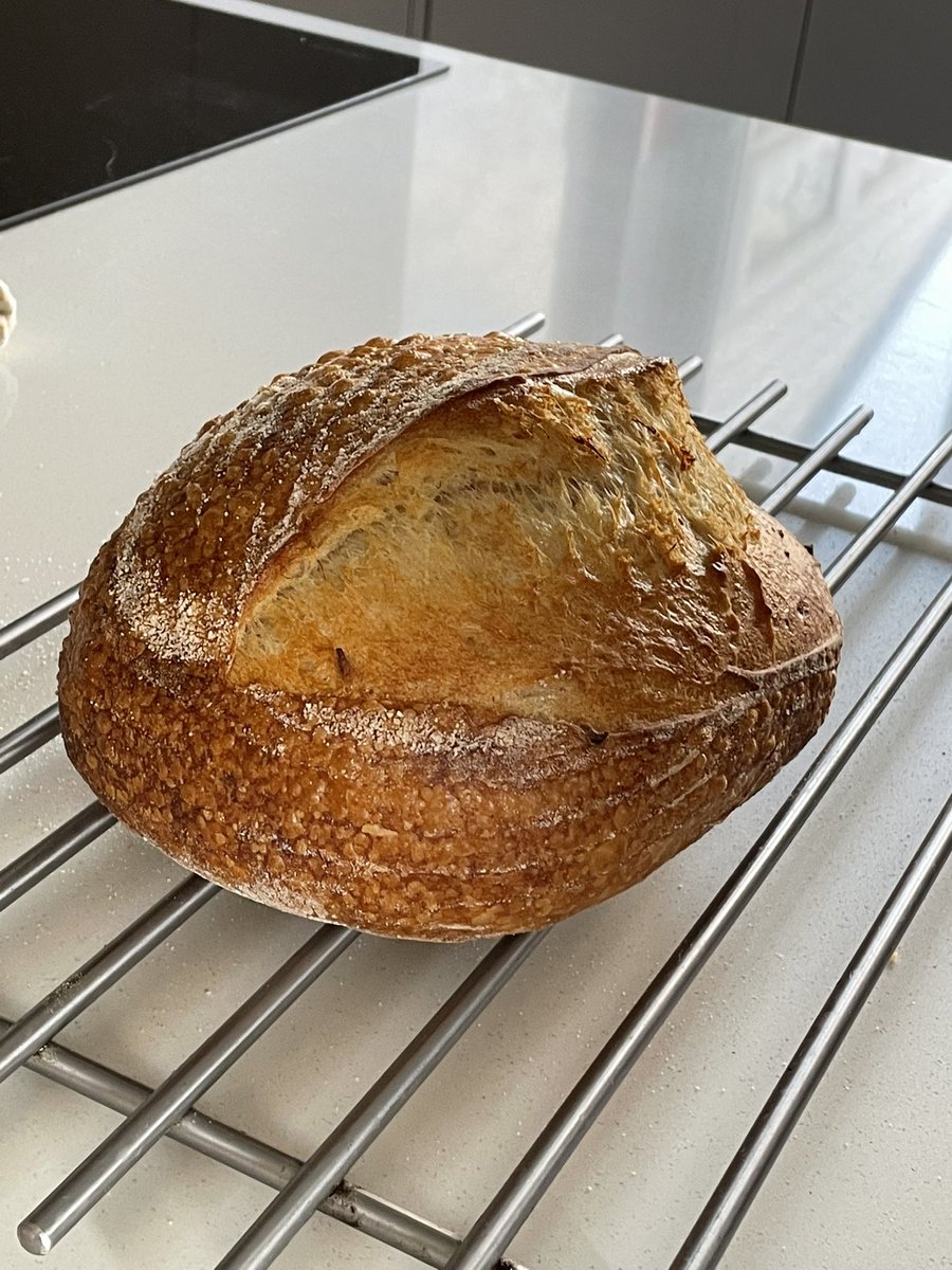 falconlocks's tweet photo. @tandleman As long as it tastes good who cares about an ear. Well done it looks pretty good 😋 https://t.co/UAHaSxsmo1