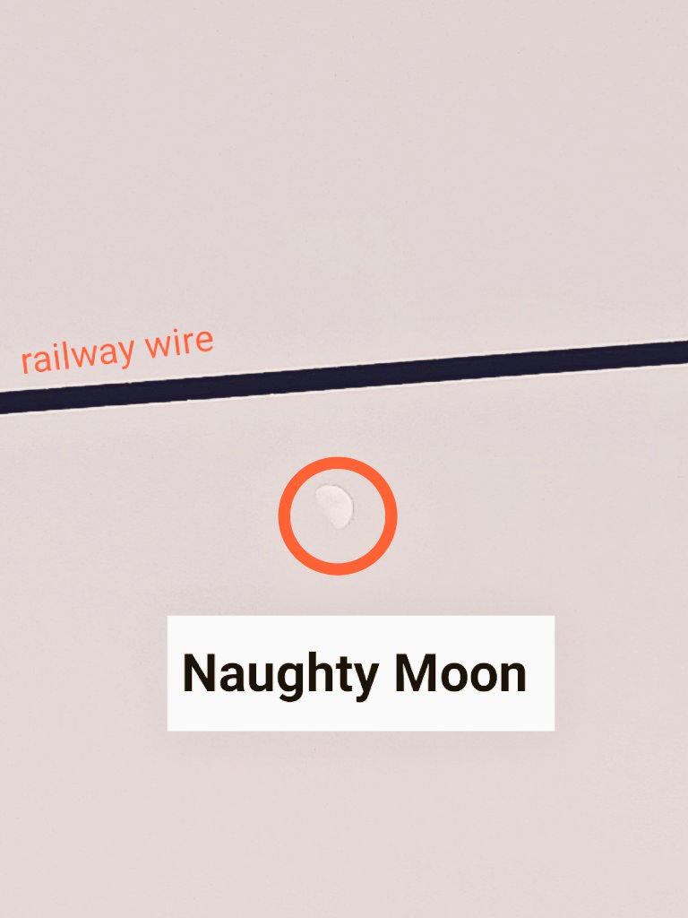 docshak1's tweet photo. #Naughty #moon showing up in broad #Daylight.
#PhysicsNerd #Nature #loverrukk #life #health #Junky #environmental #beauty https://t.co/cKuMDU7y8J