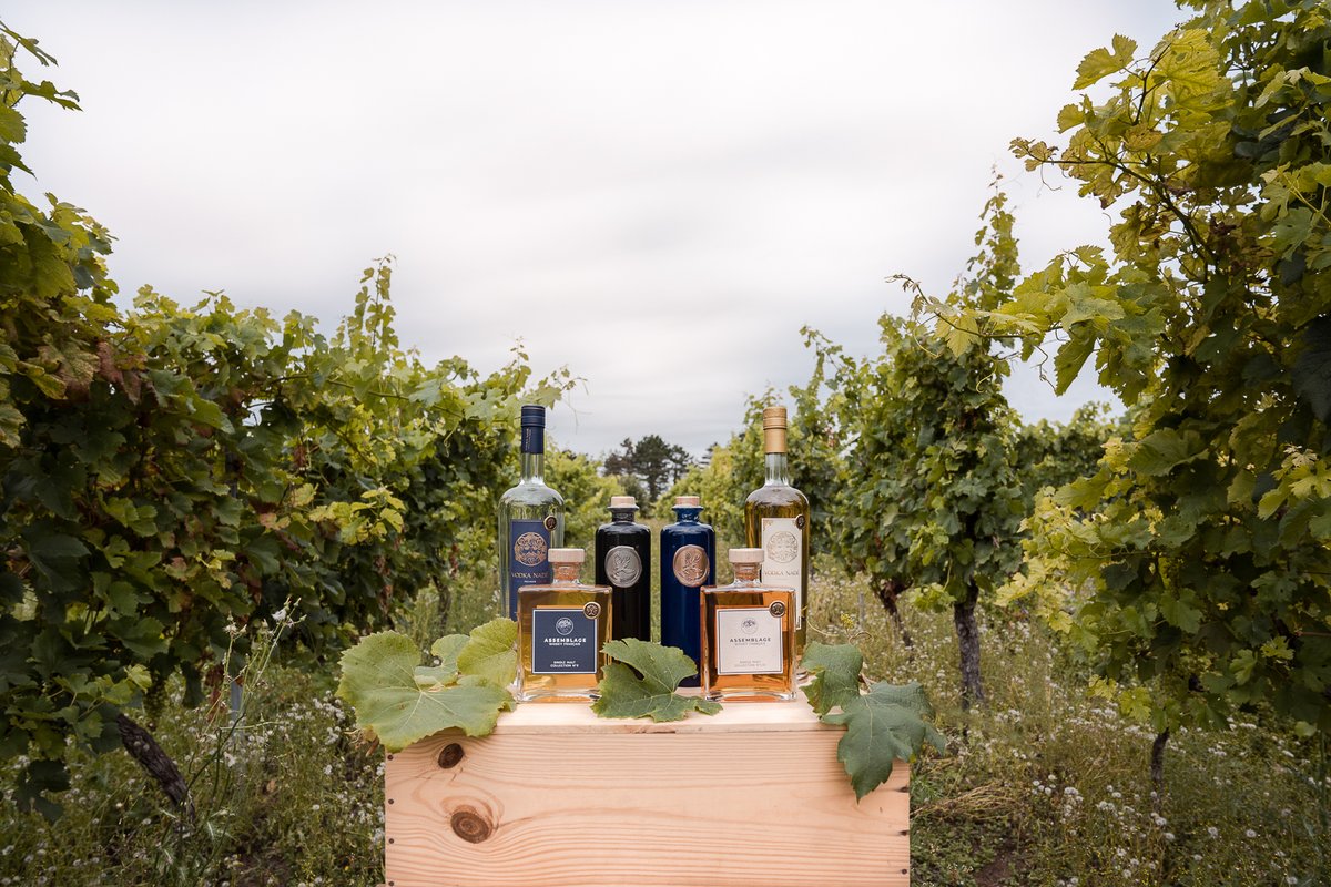 LACAVEXVII's tweet photo. L'hiver arrive, et il est temps de réchauffer les coeurs, les corps &amp; têtes :)

C'est pour cela que nous sommes heureux de vous annoncer la soirée dégustation des créations de la maison Mounicq : Gin, Whisky et Vodka

Date: 8/12/2022
Heure: de 18h à 20h

N'hésitez pas à relayer https://t.co/qCA4fXyhas