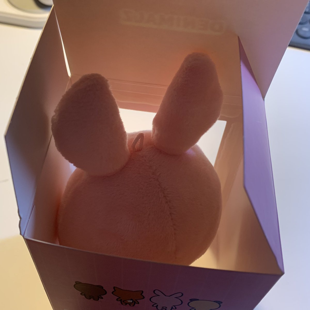 너무커서 상자에 보관할수도 없음
꺼내달라고 째려봐